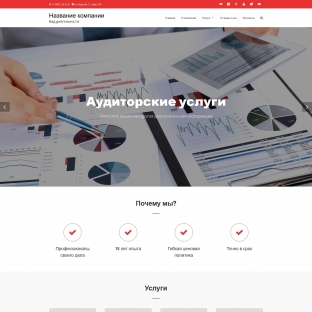 Аудиторские услуги