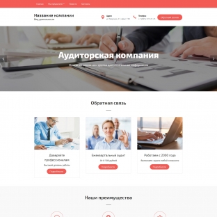 Аудиторская компания