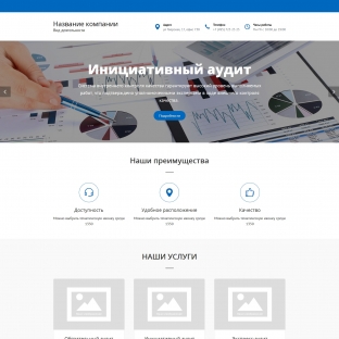 Аудиторские услуги